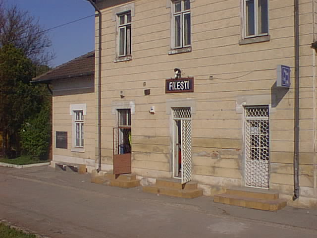 langa filesti (1).jpg