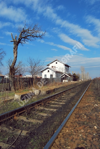 2011-045-vert.jpg