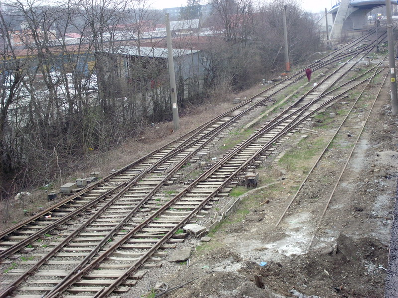 IMG_4893.JPG