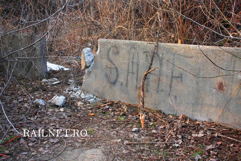 Un colt din vechiul bazin pentru depozitarea cenusilor.jpg