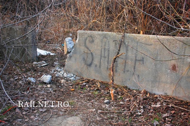 Un colt din vechiul bazin pentru depozitarea cenusilor.jpg