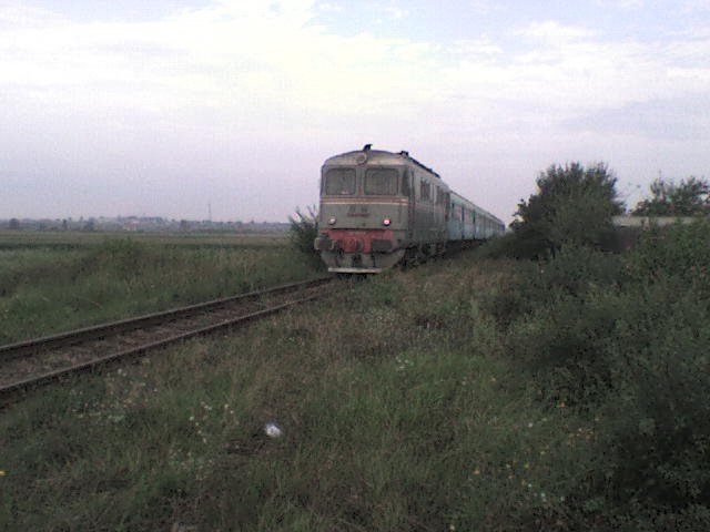P 8081 in Tanganu.jpg