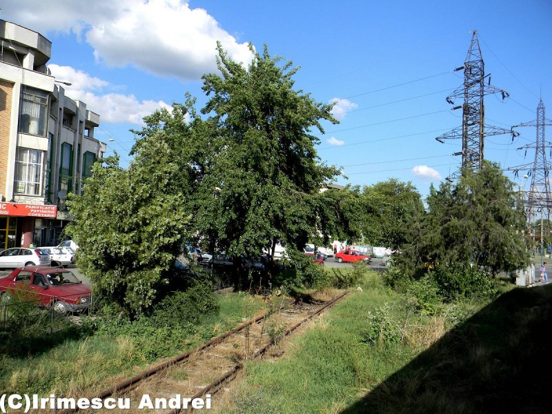 DSCN0727.JPG