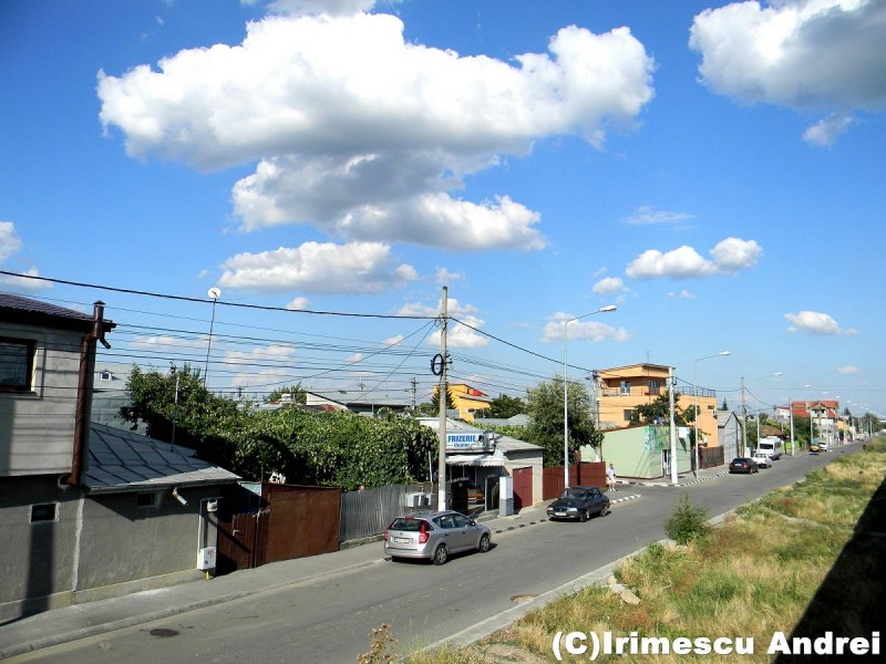 DSCN0732.JPG