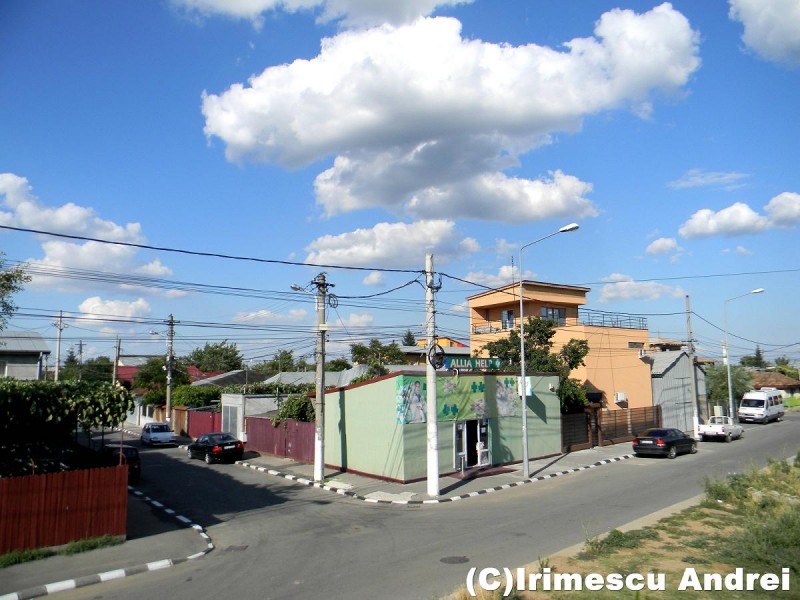 DSCN0733.JPG