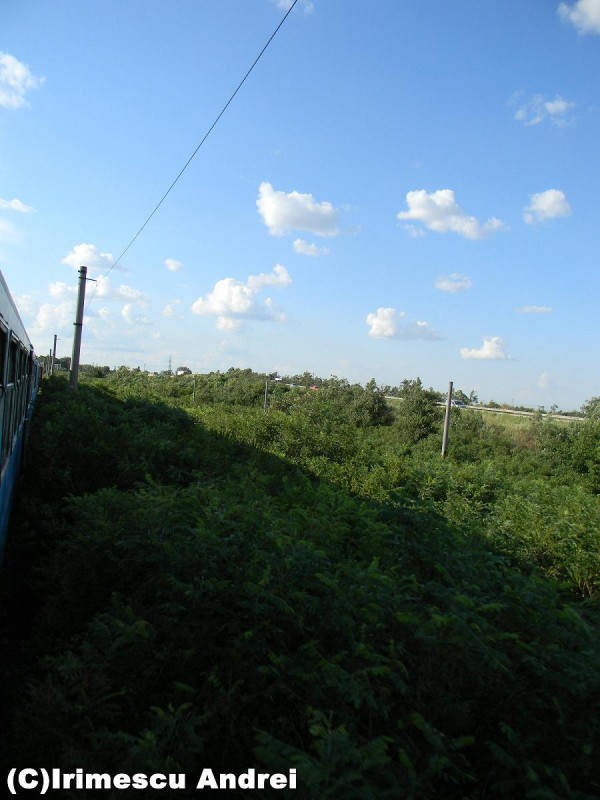 DSCN0770.JPG