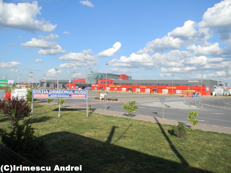 DSCN0779.JPG