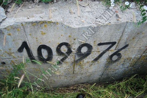 +Picture 371-tile.jpg
