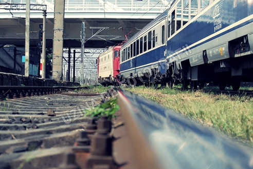 1++Picture 017-tile.jpg