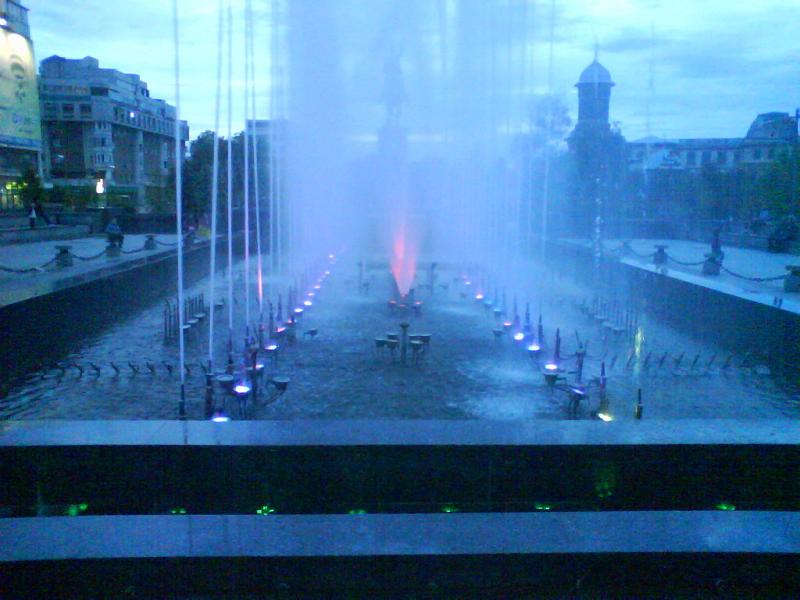 DSC00205.jpg