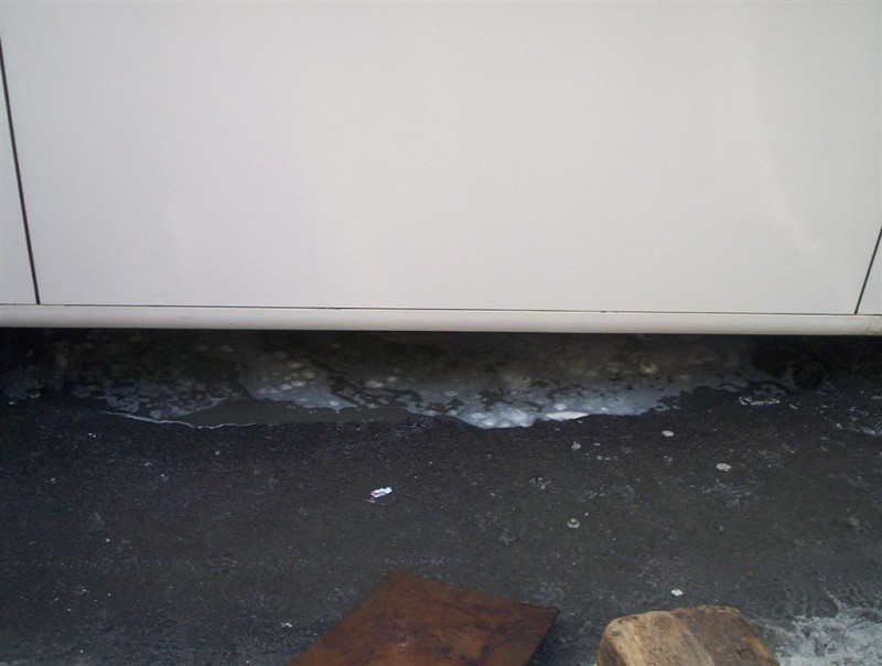 Picture 014.jpg