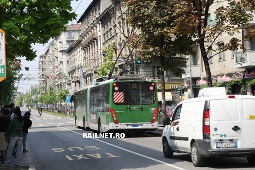 Demaraj VAN HOOL.jpg