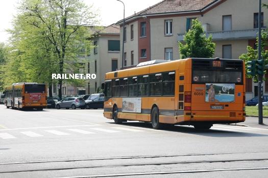 Coloana de autobuze.jpg