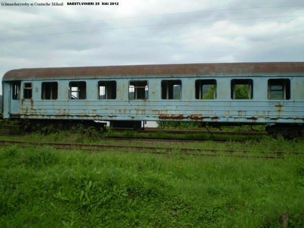 P1010233.JPG