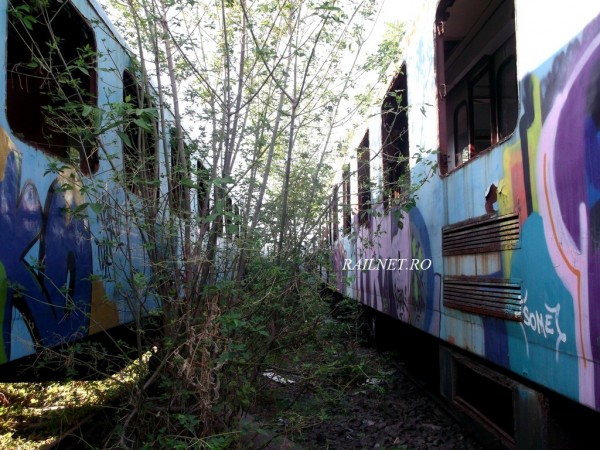 DSCF5482.jpg (373.71 KiB) Vizualizat de 3510 ori DSCF5482.jpg