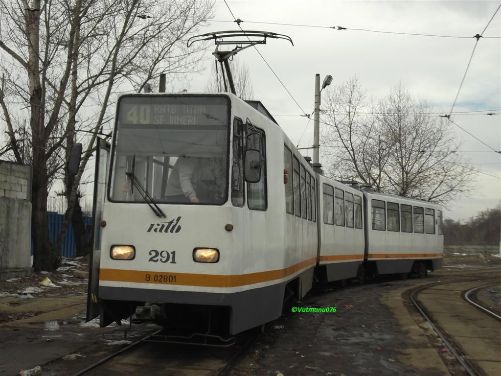 291 (Large).JPG