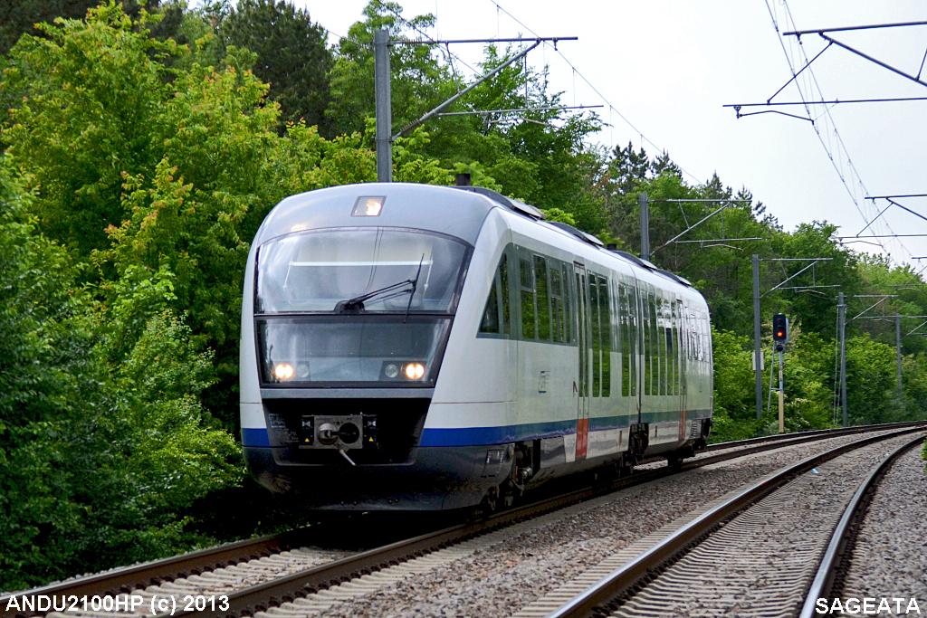SACARBA ALB.jpg