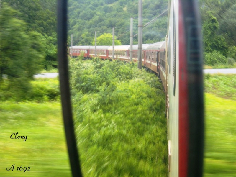 SS100110.JPG