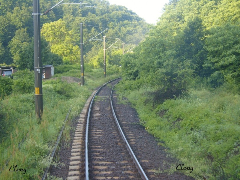 SS100092.JPG