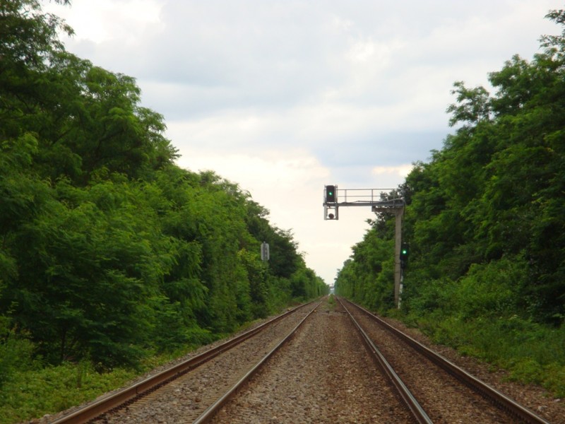 DSC05629.JPG