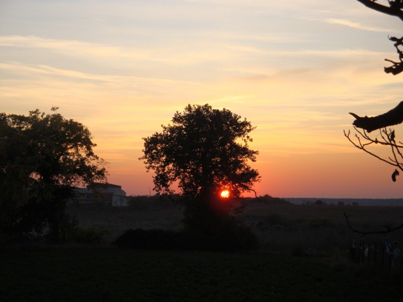 DSC02626.JPG