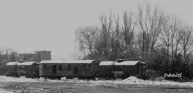 Rotile au amutit....jpg