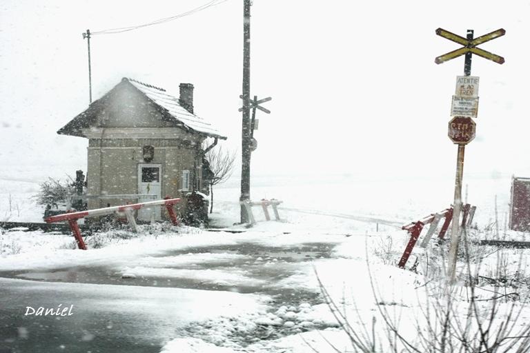 Asteptare inghetata....jpg