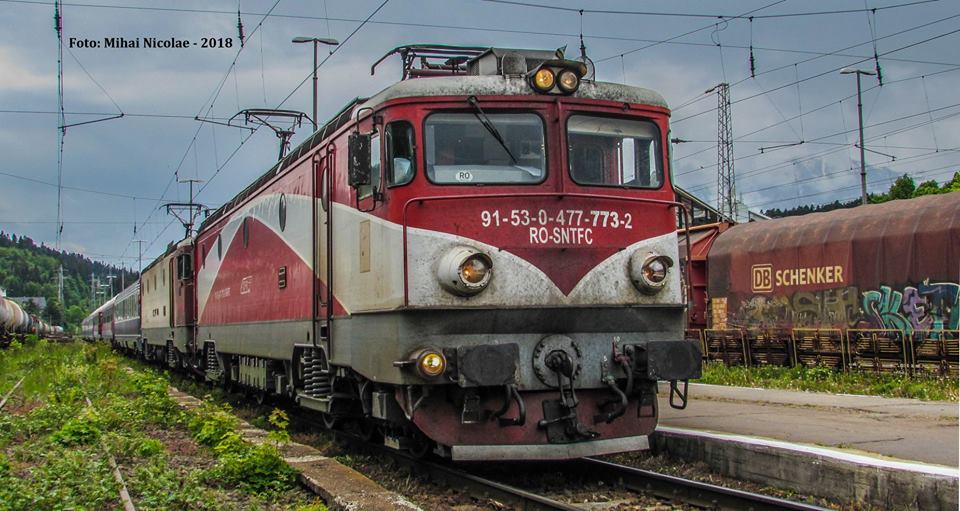 773.jpg