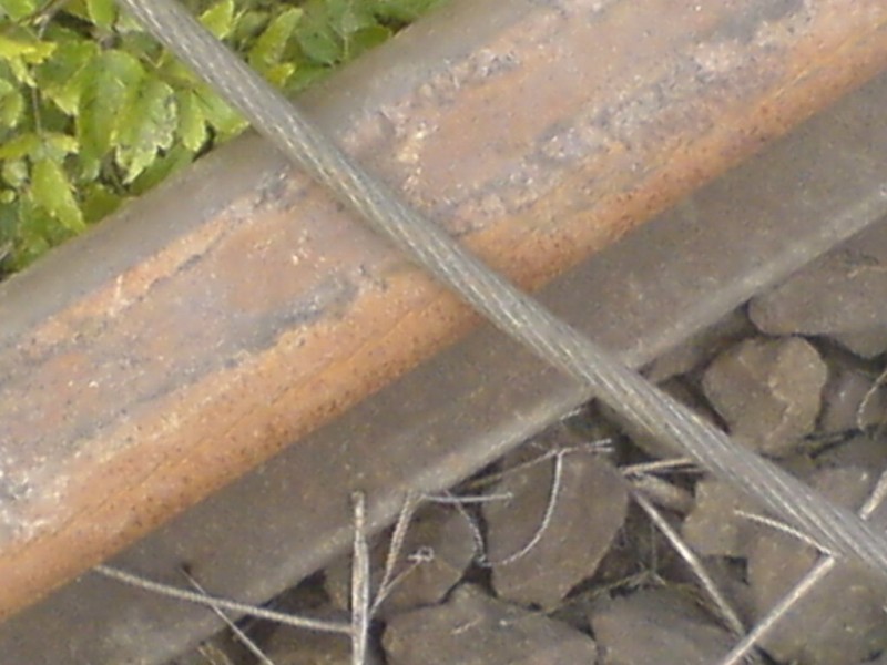 DSC00200_resize.JPG