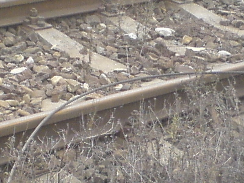DSC00203_resize.JPG