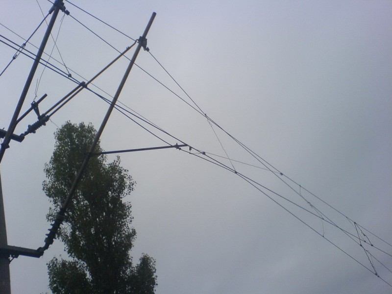 DSC00218_resize.JPG
