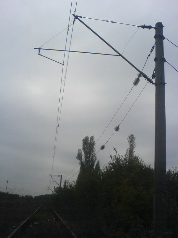 DSC00231_resize.JPG