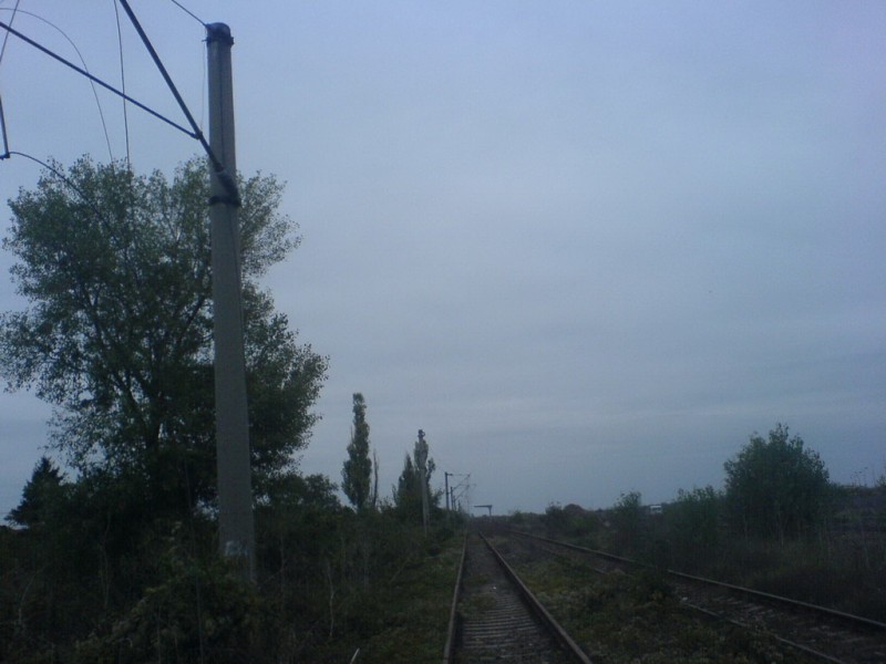 DSC00237_resize.JPG