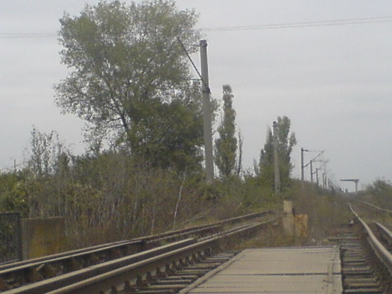 DSC00243_resize.JPG