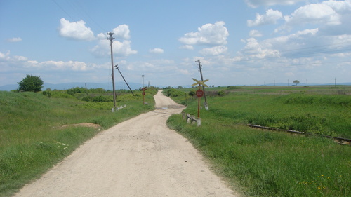 11987171.jpg