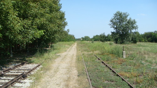 26018027.jpg