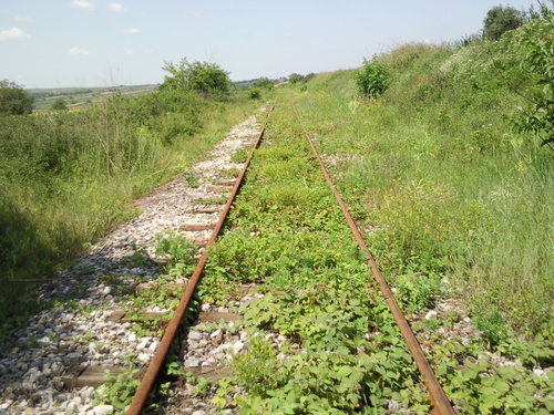 24731102.jpg