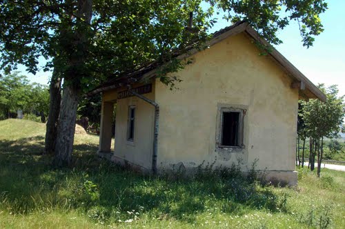 32547427.jpg