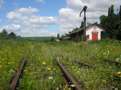 28926960.jpg