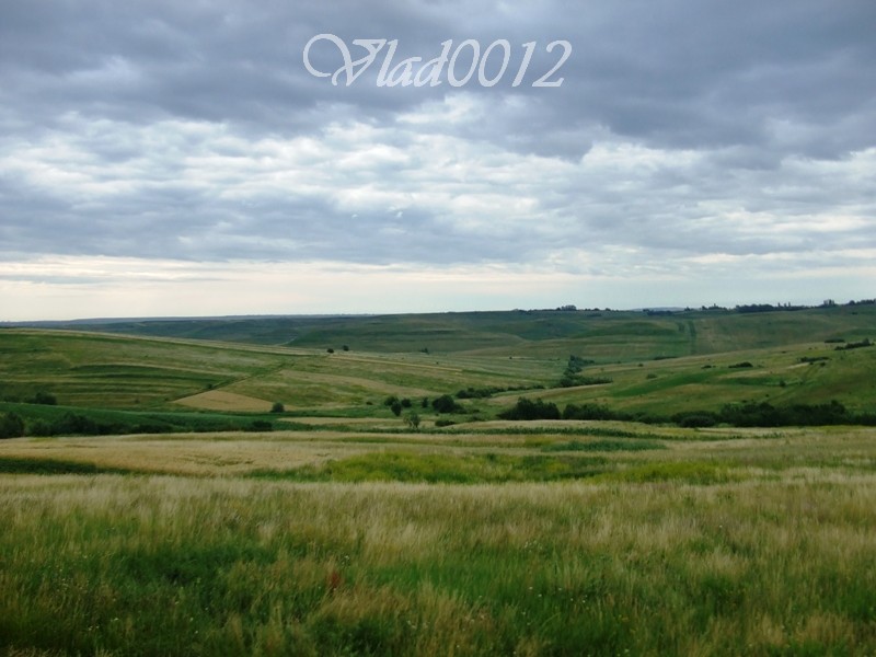 Picture 043.jpg