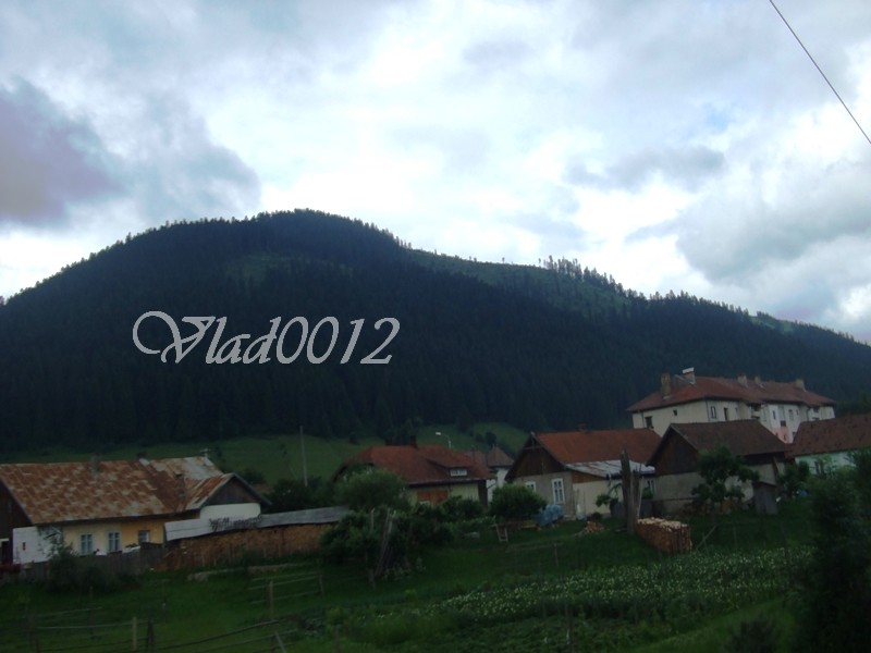 Picture 082.jpg