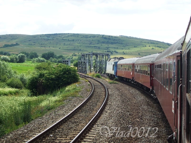 Picture 229.jpg