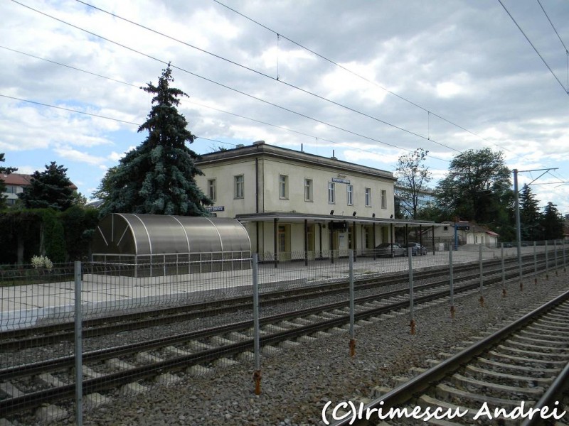 DSCN5950.JPG
