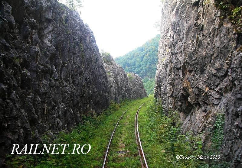 End of story....jpg (134.01 KiB) Vizualizat de 8196 ori End of story....jpg