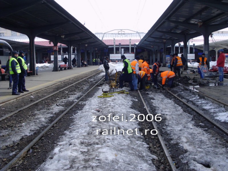 IMG_1559_resize.jpg