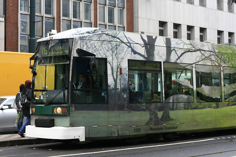 _MG_5383.jpg