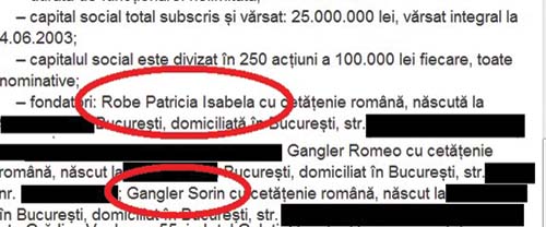 Desi in acea perioada era cenzor al societatii „Denis Technology”, Isabela Robe a mentionat doar veniturile incasate de la Parlament si de la Consiliul General.jpg