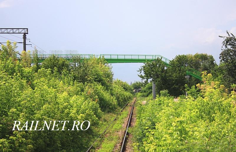 In dreapta se afla peronul haltei Bc.T dincolo de vegetatie.jpg (117.53 KiB) Vizualizat de 9782 ori In dreapta se afla peronul haltei Bc.T dincolo de vegetatie.jpg