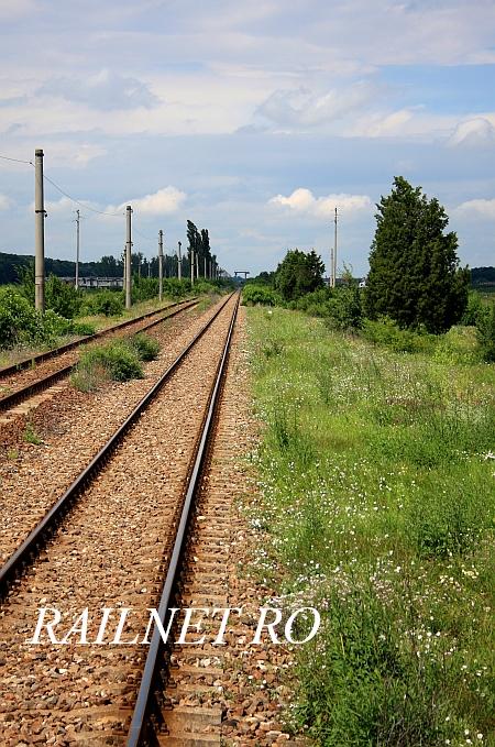 Catre Mogosoaia pe firul M700. In stanga firul fostului racord Chiajna - Bc.T- Mogosoaia si stalpii goliti ai catenarei acestuia..jpg (101.89 KiB) Vizualizat de 9782 ori Catre Mogosoaia pe firul M700. In stanga firul fostului racord Chiajna - Bc.T- Mogosoaia si stalpii goliti ai catenarei acestuia..jpg