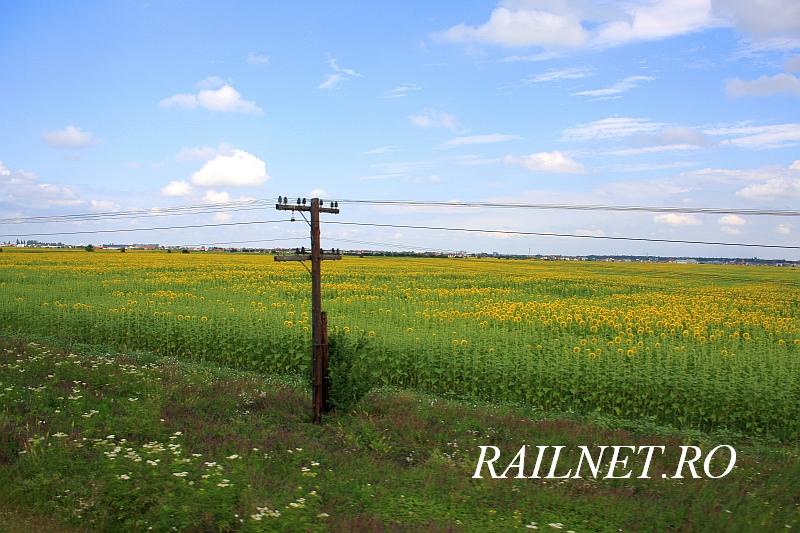 Lanuri de floarea soareluri in dreapta M700.jpg (88.81 KiB) Vizualizat de 9782 ori Lanuri de floarea soareluri in dreapta M700.jpg